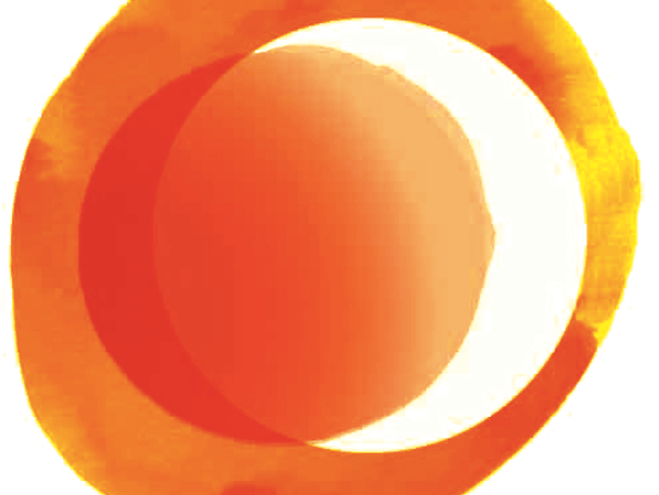 Social Media and Digital Marketing Coordinator – Solar Management – London